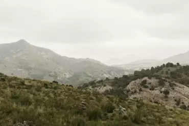 ANSIEDAD II: ¿cómo interpretas la realidad?