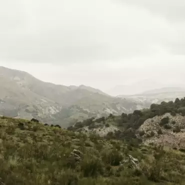 ANSIEDAD II: ¿cómo interpretas la realidad?